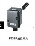 F63Һλ_P(gun)